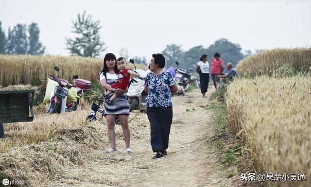 戌时和子时八字合不，鼠年戌时出生的男孩