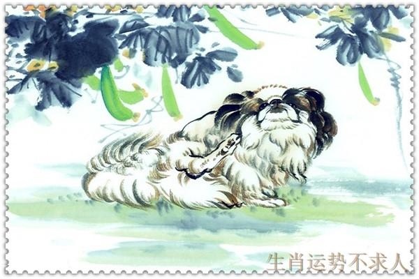 994年属狗男婚姻与命运，94年属狗男一生命运婚姻"