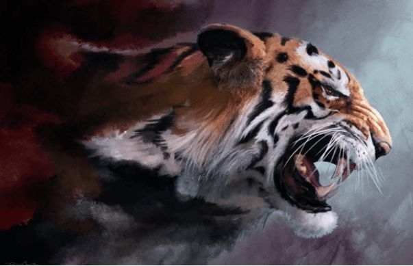 4年属虎晚年怎么样，74年虎女命为什么不好"