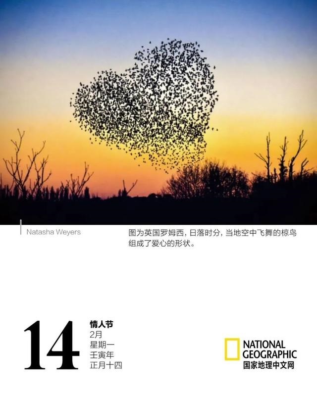 为什么2022年是虎百年，2022虎年怎么说是百年