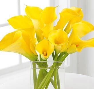 麦玲玲姻缘测试，免费测试两人今生关系