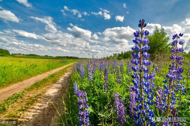 八字不合的人有多严重，两个人八字不合的表现