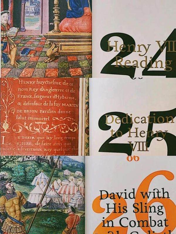 正版2022 生肖表图高清，2022 生肖波色卡