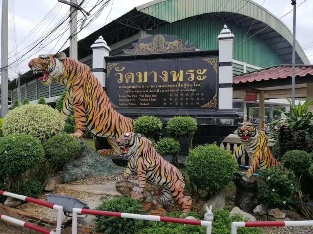 破太岁最灵验化解 *** ，化太岁真有用么