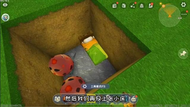 宠物兔会生宝宝吗，兔子生小兔视频