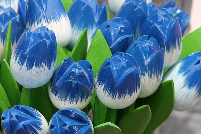 0年属狗女在2022年怎么样,1970年狗人2022年运程"