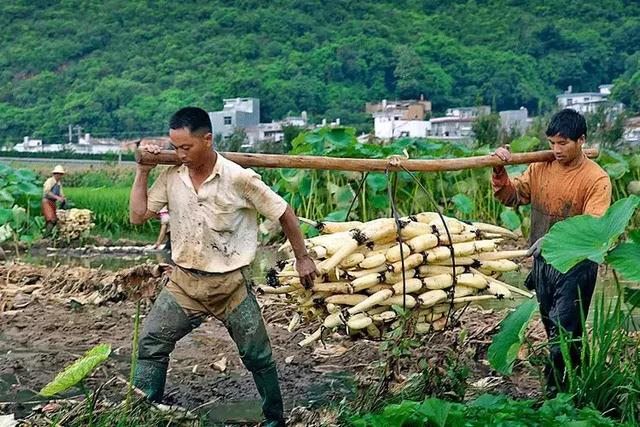 有人五行一样不缺的吗，五行都不缺的女生的命理