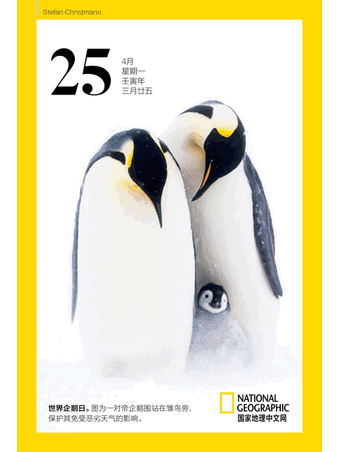 为什么2022年是虎百年,2022虎年怎么说是百年