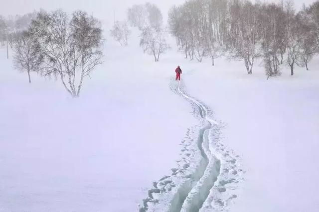 有人五行一样不缺的吗，五行都不缺的女生的命理