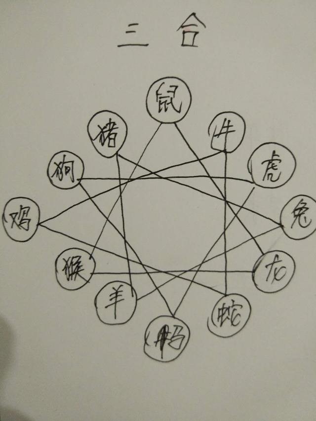 属羊三合和三冲属相,属羊的三合和六个合生肖