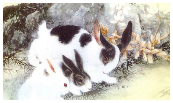 7年属兔的人什么时候能结婚，87年属兔35岁有一劫2022"