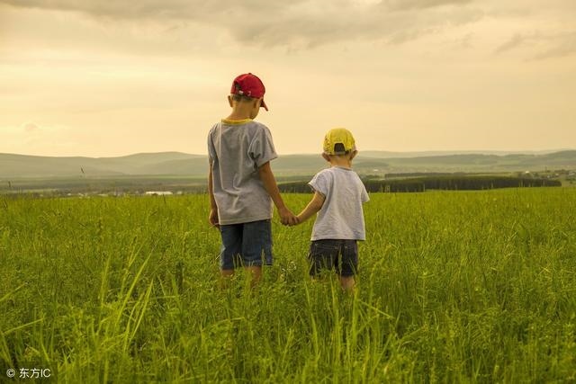 戊戌是哪一年的生肖，戊戌年的下一年是什么年