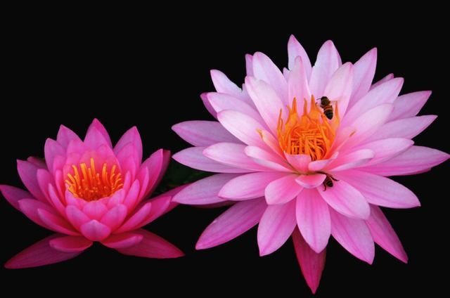 伤官大运有什么特征，男命行伤官大运