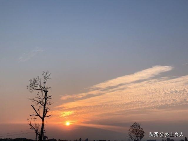 时辰戊子是什么意思，戊子是什么时间