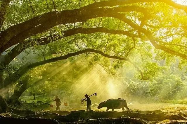 有人五行一样不缺的吗，五行都不缺的女生的命理