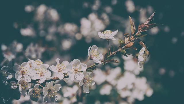 一生中有几次婚姻，姓名测婚姻一生有几次