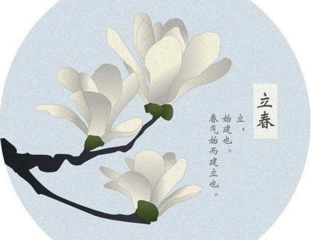 为什么庚子年必有大乱周易推理，辛丑年出生的上等八字