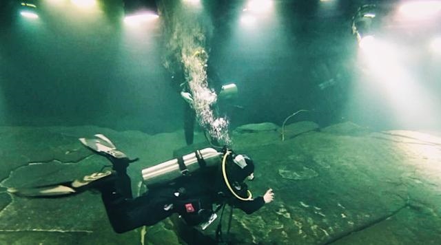 成化辛卯年是哪一年，辛卯年今年多少岁