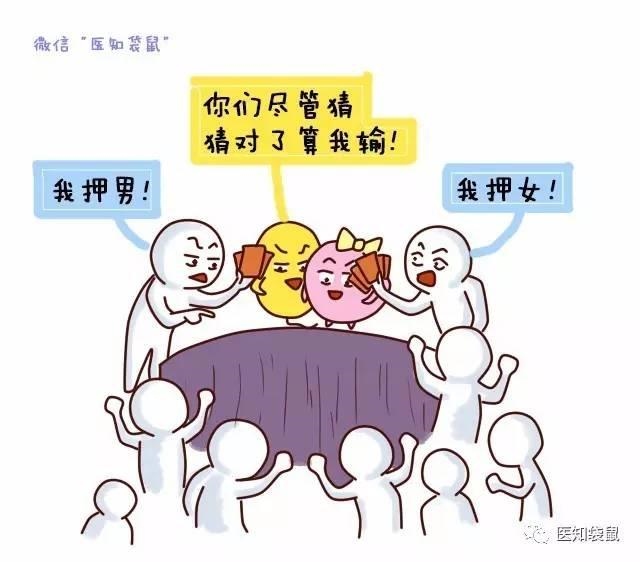 022年清宫表怀男女图,2022