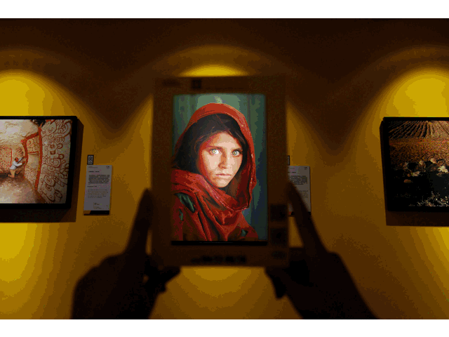 为什么2022年是虎百年,2022虎年怎么说是百年