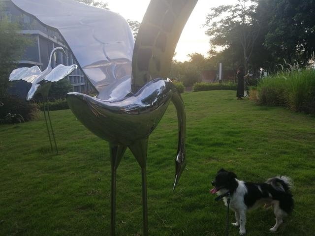 0男和95女婚姻怎么样，1995属猪的女人旺夫吗"