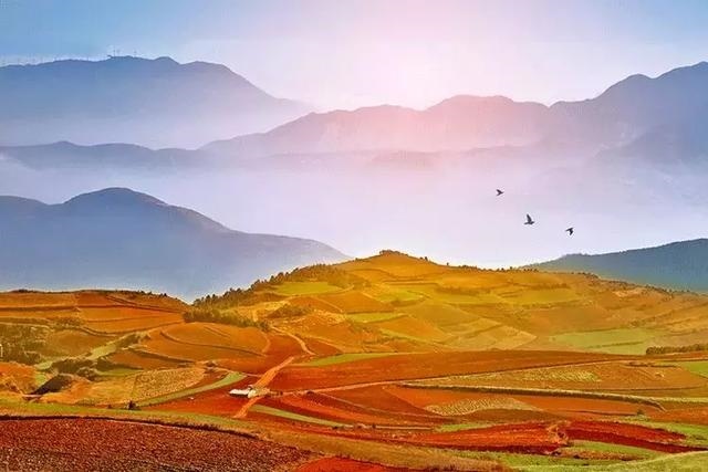 有人五行一样不缺的吗，五行都不缺的女生的命理