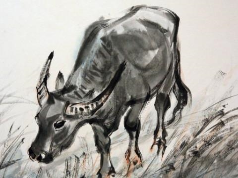 998年男属虎的婚姻搭配，98年虎男孩婚姻与事业"