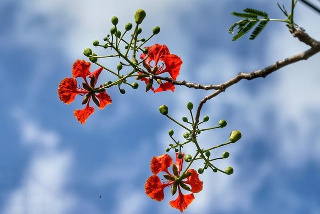 022十二生肖运程大全每个月，2022生肖运势"