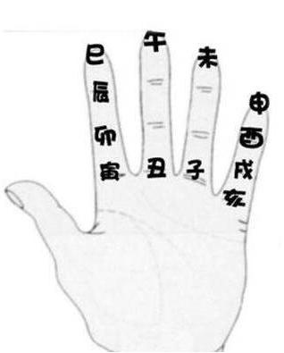 庚子年丁亥月庚辰日乙酉时，2022 年是庚子年吗