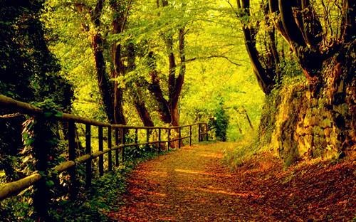 戊申月属什么生肖，戊申日指什么生肖