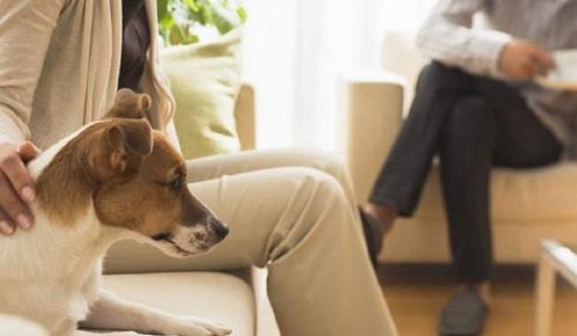 怎么样改善夫妻之间的感情,对付男人出轨后最狠的一招