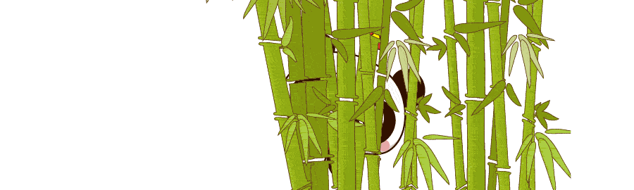 癸巳年是哪一年属什么,癸卯是什么时间