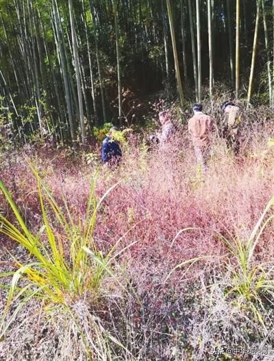 民国戊辰年是哪一年，同治庚午年是哪一年