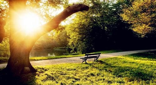 戊申月属什么生肖，戊申日指什么生肖