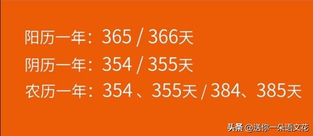 024年为什么是黑兔年，黑兔走入青龙2023年"