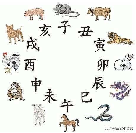 五公经预言2022年辛丑年，万年歌预言2022