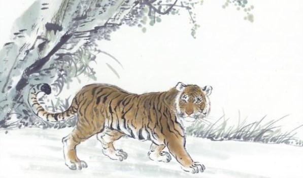 属虎的生到什么时候更好,1986年属虎适合干什么