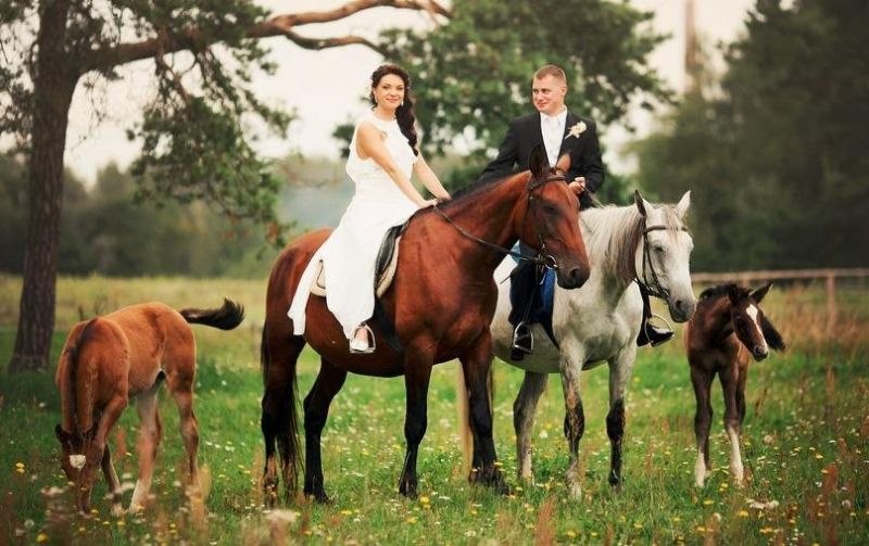 女人属马的更佳婚配,78年属马女一生婚姻