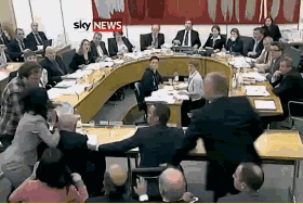 女狗比男牛大三岁合适不，男狗女牛的婚姻顺利吗