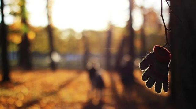 生辰八字自动计算器，生辰八字自动转换器