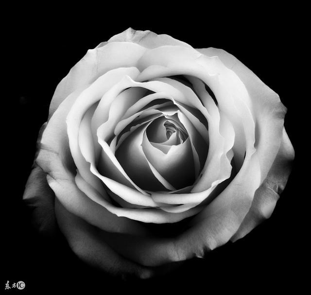 女带伤官会离几次婚,女命走伤官离婚后会好