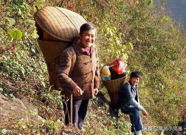 戌时和子时八字合不，鼠年戌时出生的男孩