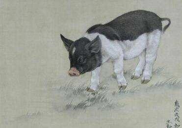 属虎的几月犯月份,属虎命最差农历月份