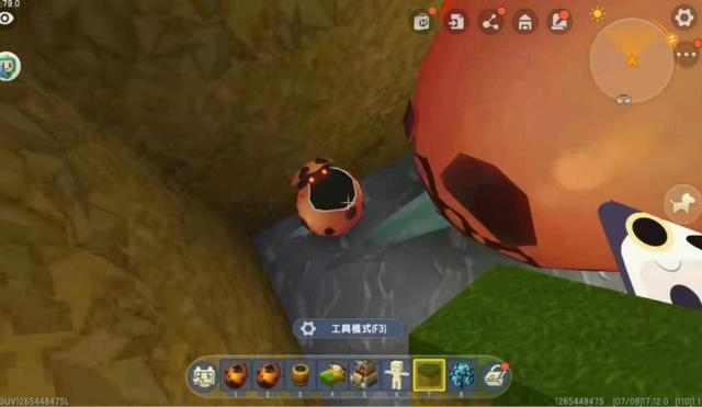 宠物兔会生宝宝吗，兔子生小兔视频