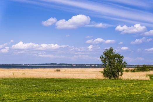 壬子年是什么命，壬子十二生肖是什么