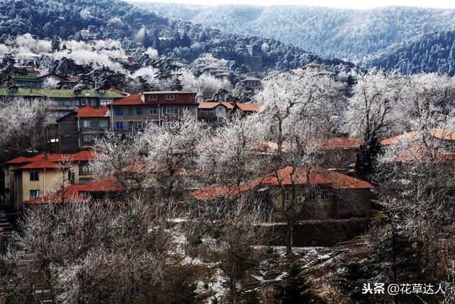 老黄历属相查询表，万年历属相生肖查询表