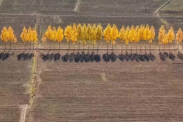 有人五行一样不缺的吗，五行都不缺的女生的命理