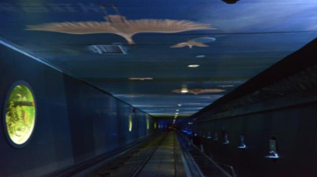 成化辛卯年是哪一年，辛卯年今年多少岁