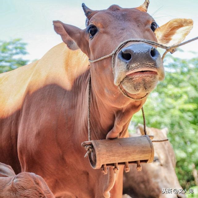 戊辰年是公历哪一年，戍辰年是公历那一年