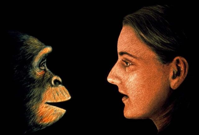 地球上之一个人是谁,人类杀死了地球原住民